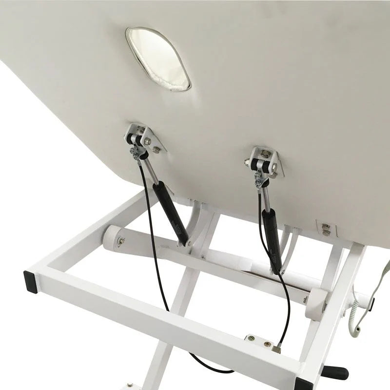 PJS Direct 2 Motor Massage/Salon Couch