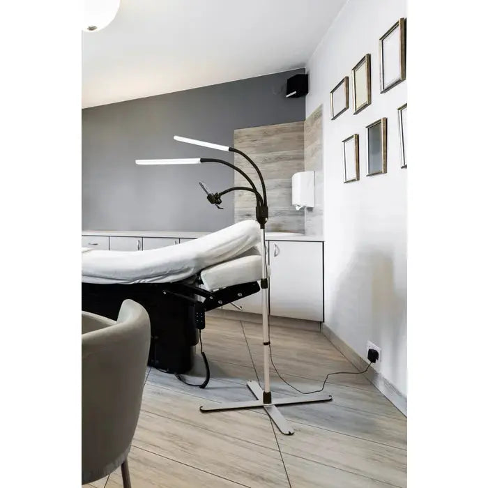 Daylight D35350 Dual Light Gemini Floor Lamp Daylight