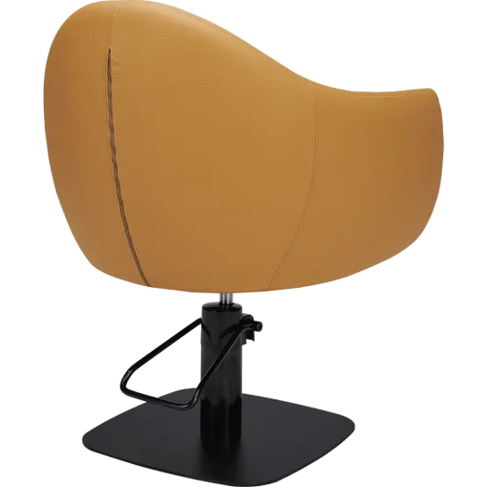 Mila Audrey Styling Chair
salon chair
hydraulic pump