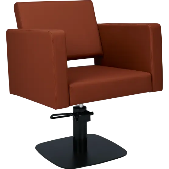 Mila Bea Styling Chair
salon chair
hydraulic pump