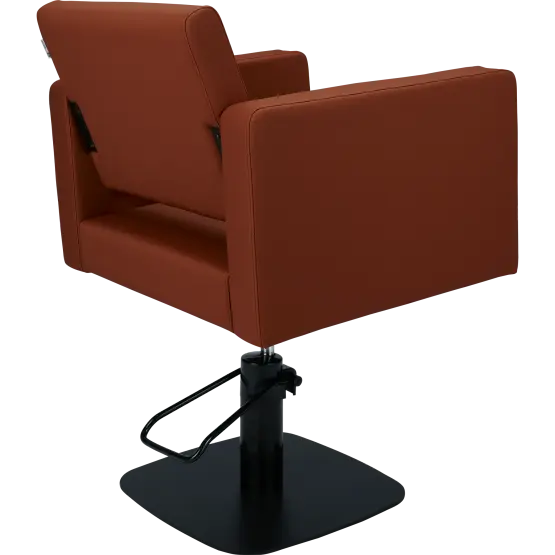 Mila Bea Styling Chair
salon chair
hydraulic pump