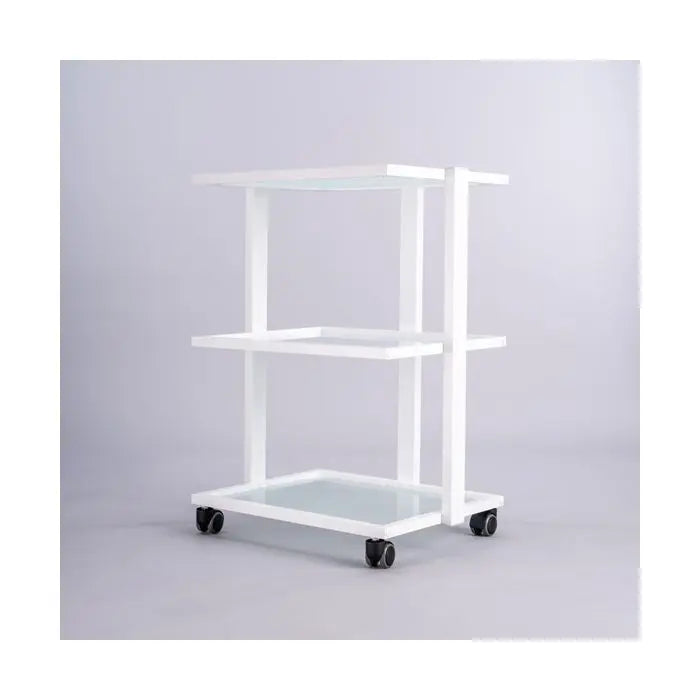 PJS Direct Beauty Trolley with Drawer
Mobile Salon Trolley UK
Professional Spa Trolley