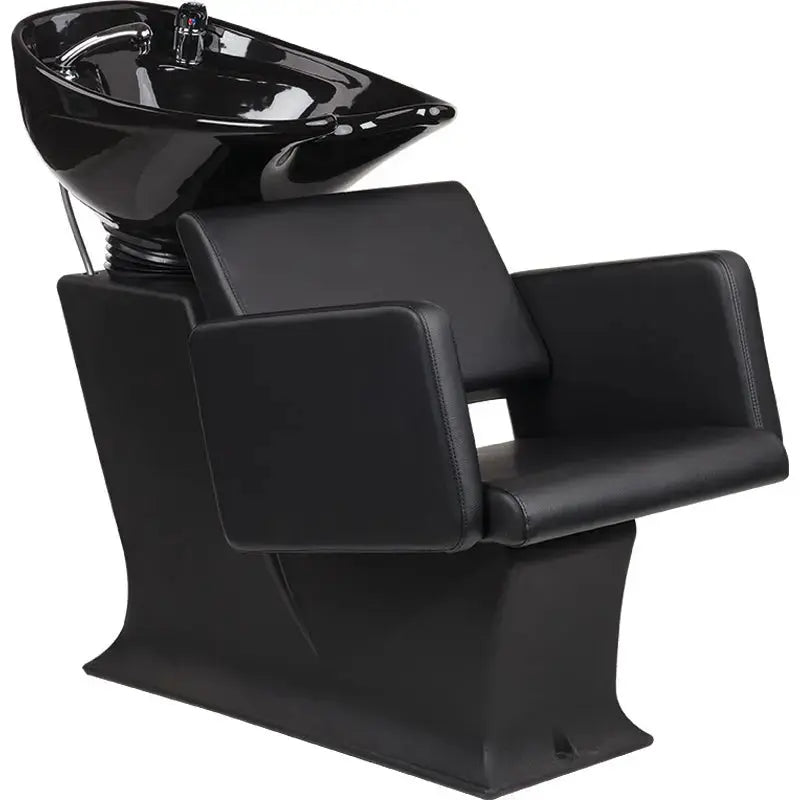 Ayala Lady C Lea Black Backwash Unit

black basin

salon wash unit
