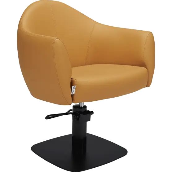 Mila Audrey Styling Chair

salon chair

hydraulic pump