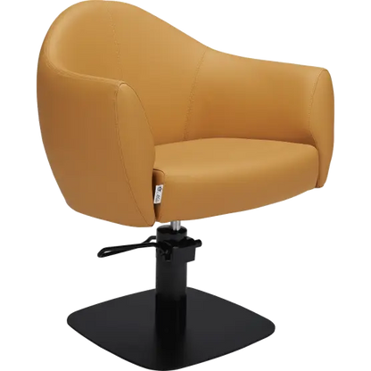 Mila Audrey Styling Chair

salon chair

hydraulic pump