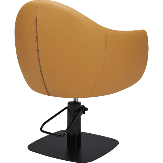 Mila Audrey Styling Chair

salon chair

hydraulic pump