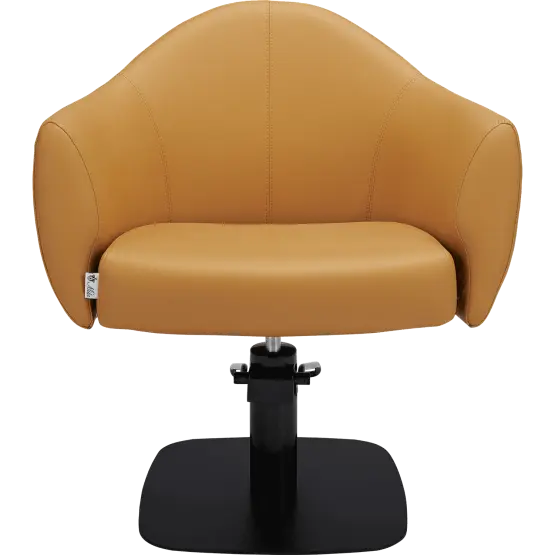 Mila Audrey Styling Chair

salon chair

hydraulic pump