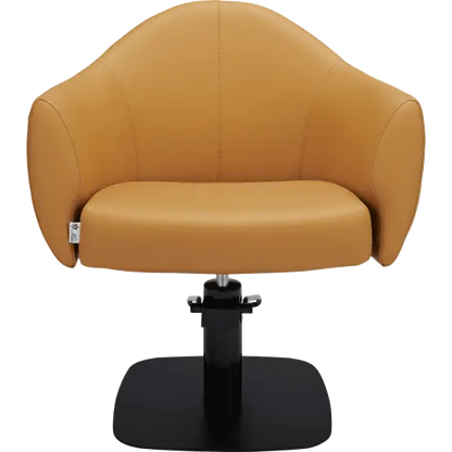 Mila Audrey Styling Chair

salon chair

hydraulic pump