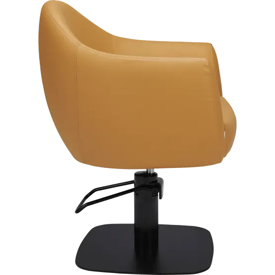 Mila Audrey Styling Chair

salon chair

hydraulic pump