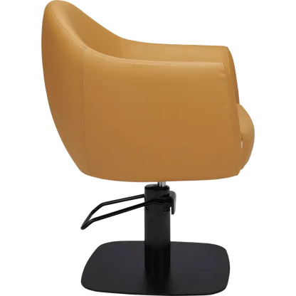 Mila Audrey Styling Chair

salon chair

hydraulic pump