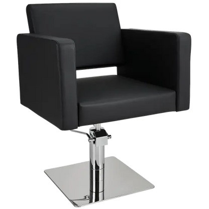 Mila Bea Styling Chair

salon chair

hydraulic pump

