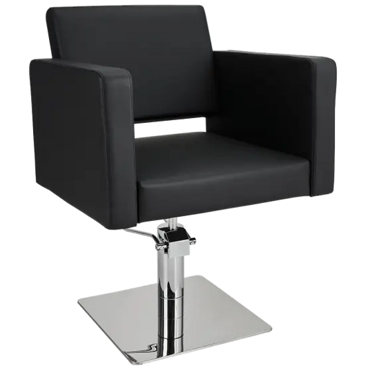 Mila Bea Styling Chair

salon chair

hydraulic pump

