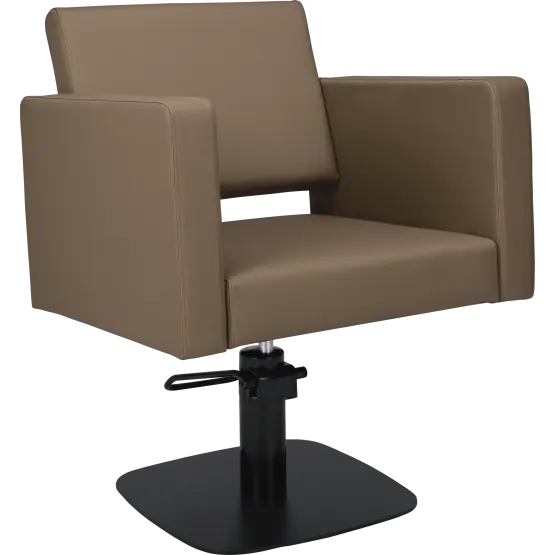 Mila Bea Styling Chair

salon chair

hydraulic pump

