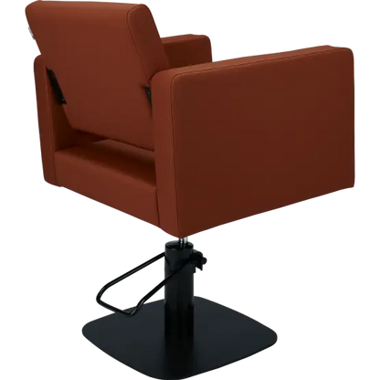 Mila Bea Styling Chair

salon chair

hydraulic pump

