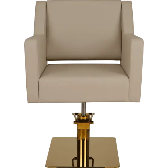 professional hairdressing chair

premium salon furniture

salon styling chair UK