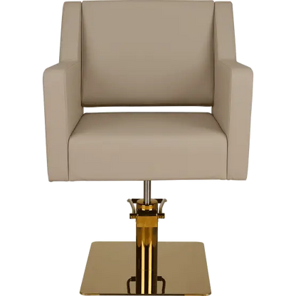 professional hairdressing chair

premium salon furniture

salon styling chair UK
