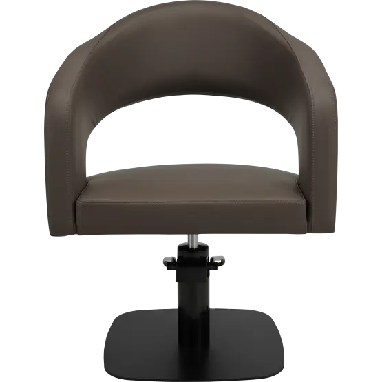 modern hairdressing chair

salon chair UK

elegant salon furniture

