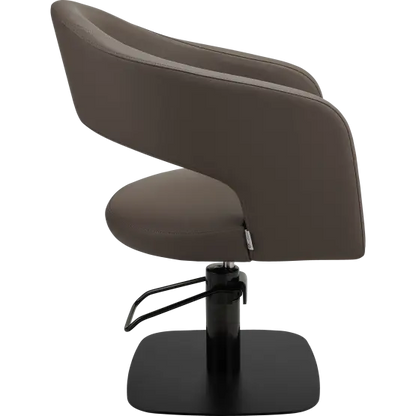 modern hairdressing chair

salon chair UK

elegant salon furniture

