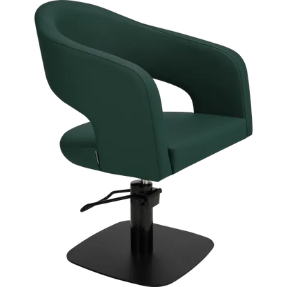 modern hairdressing chair

salon chair UK

elegant salon furniture

