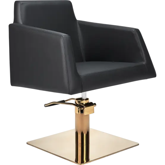 Mila Roto Styling Chair

professional hairdressing chair

salon styling chair
