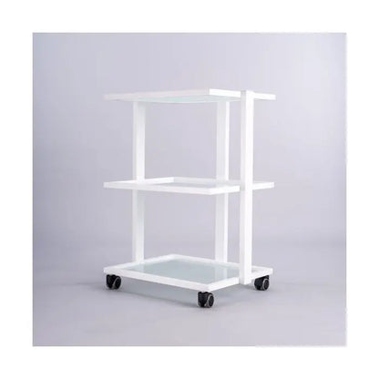 PJS Direct Beauty Trolley with Drawer

Mobile Salon Trolley UK

Professional Spa Trolley