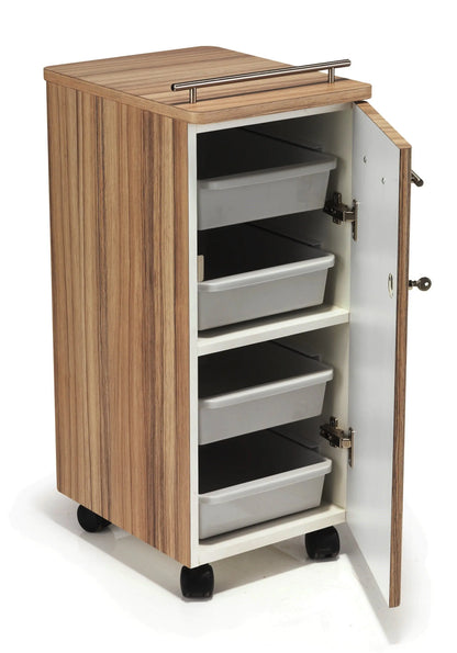 REM Prima salon trolley

Hairdressing trolley with wheels

Beauty salon storage trolley