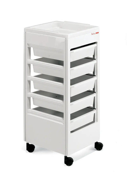 REM Studio Trolley Black and White

Salon trolley with flat top tray

Professional hairdressing trolley