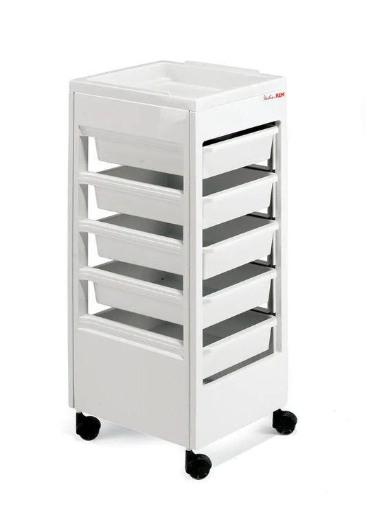 REM Studio Trolley Black and White

Salon trolley with flat top tray

Professional hairdressing trolley